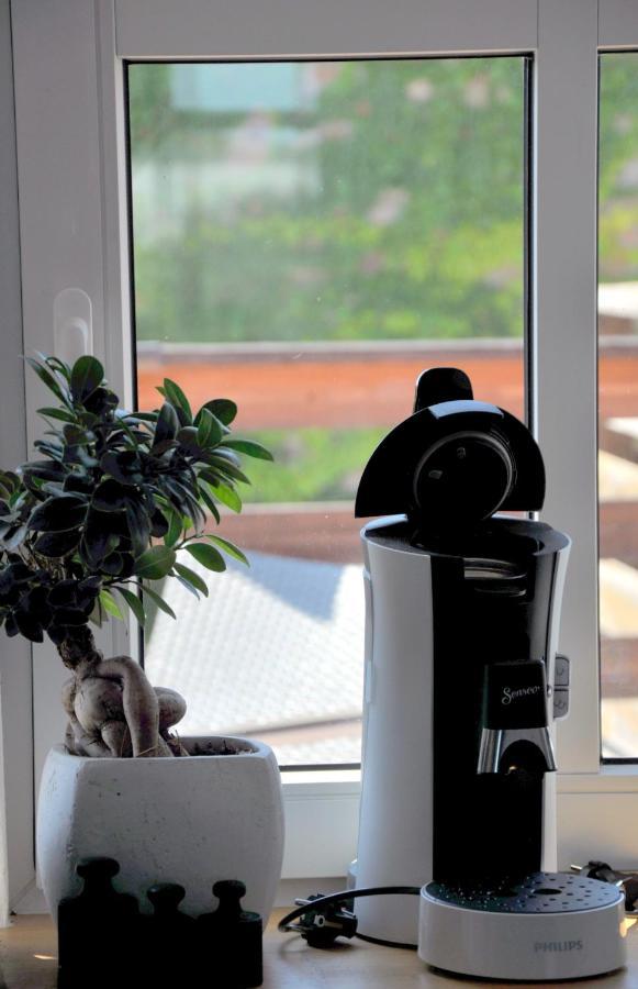 Gemuetliche Dachwohnung Mit Kleiner Oder Grosser Dachterrasse Nebeneinander 沃梅尔斯泰德 外观 照片